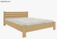 Primula klasyczne.jpg