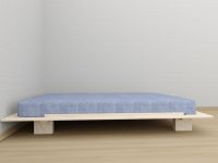 Jang rozbielony..jpg