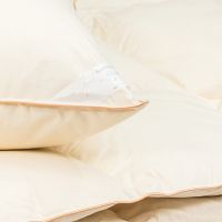 f120eb6002696deb43e5143c11de60a9