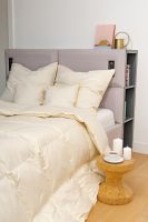 1af5a9a96fcba11d3d49e42822243ada