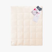 25487bda6c205c159a390ee03ff41f71