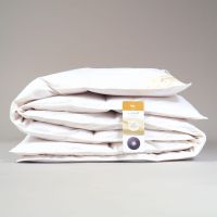 af4624e151a415270c615ed1bf5330d3