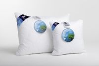 1a5a5feff4e76d569dd4a0496624fe50