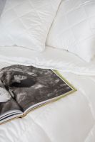 82bdd45e244a1a47e238766bca37f2e3