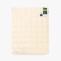 9cc4178b1b254c9ef7522a8c96e80fdb