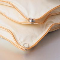 1fdfe043d1be579a2f16bc71d0af40b7