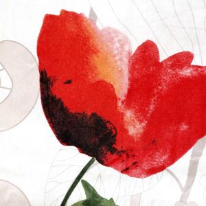 Pościel FLANELOVE 31526/1 Darymex – zbliżenie wzoru