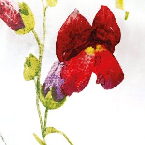 Pościel COTTONLOVE 71507/1 Darymex – detal czerwonego kwiatu