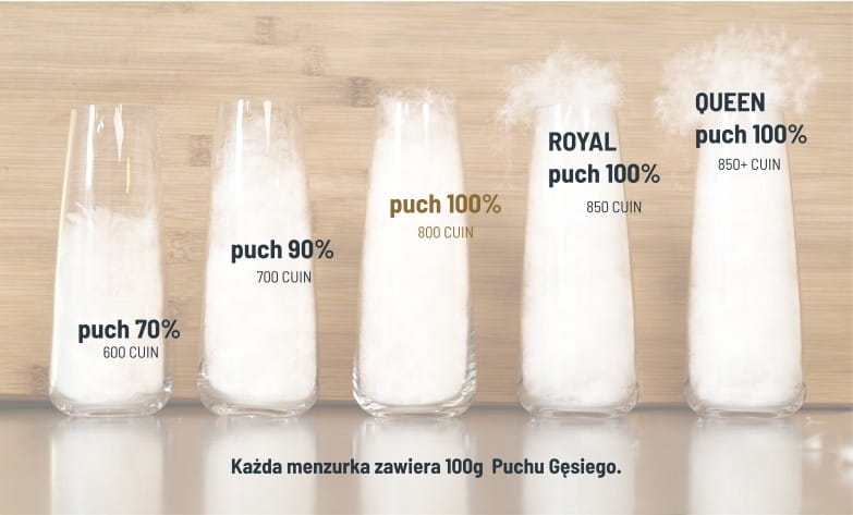 Różna zawartość puchu gęsiego