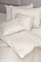 af11c33f8c1b03bf0fcb9b93bc9e18aa