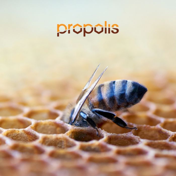 propolis