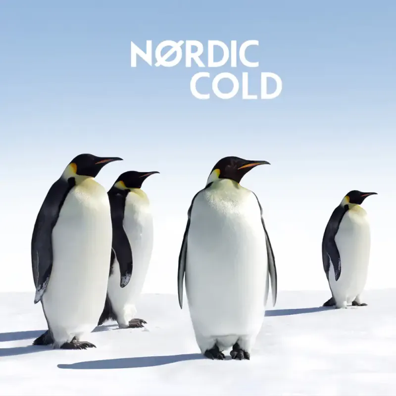 Nordic Cold