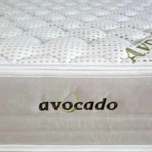 avocado detal