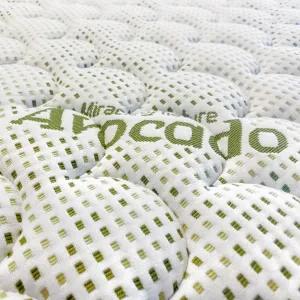 avocado detail