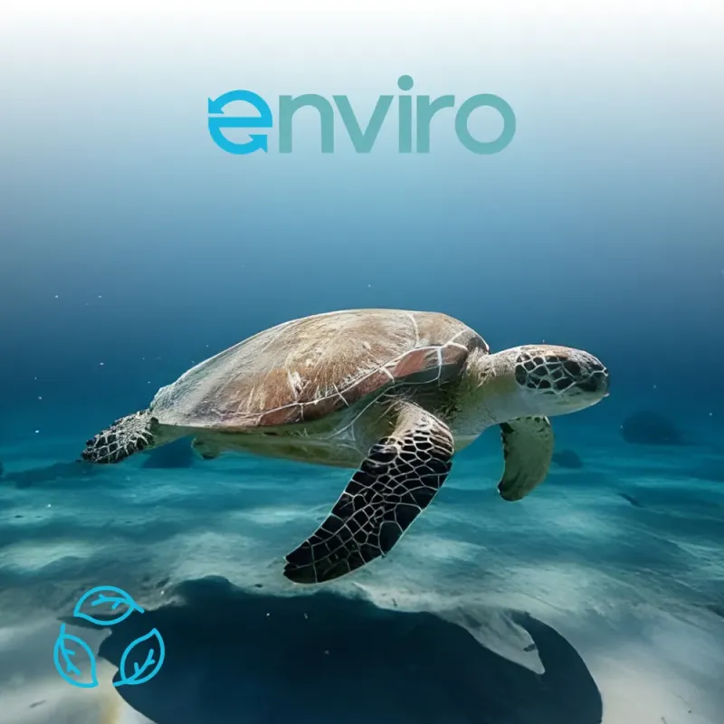 enviro