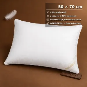 Poduszka Standardowa 50x70 Piórex – grafika informacyjna