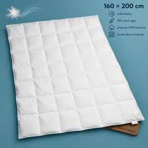 Kołdra Klimatyczna 160x200 Piórex – grafika
