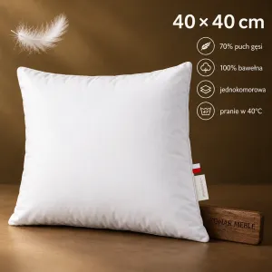 Poduszka Ekskluzywna 40x40 Piórex – grafika