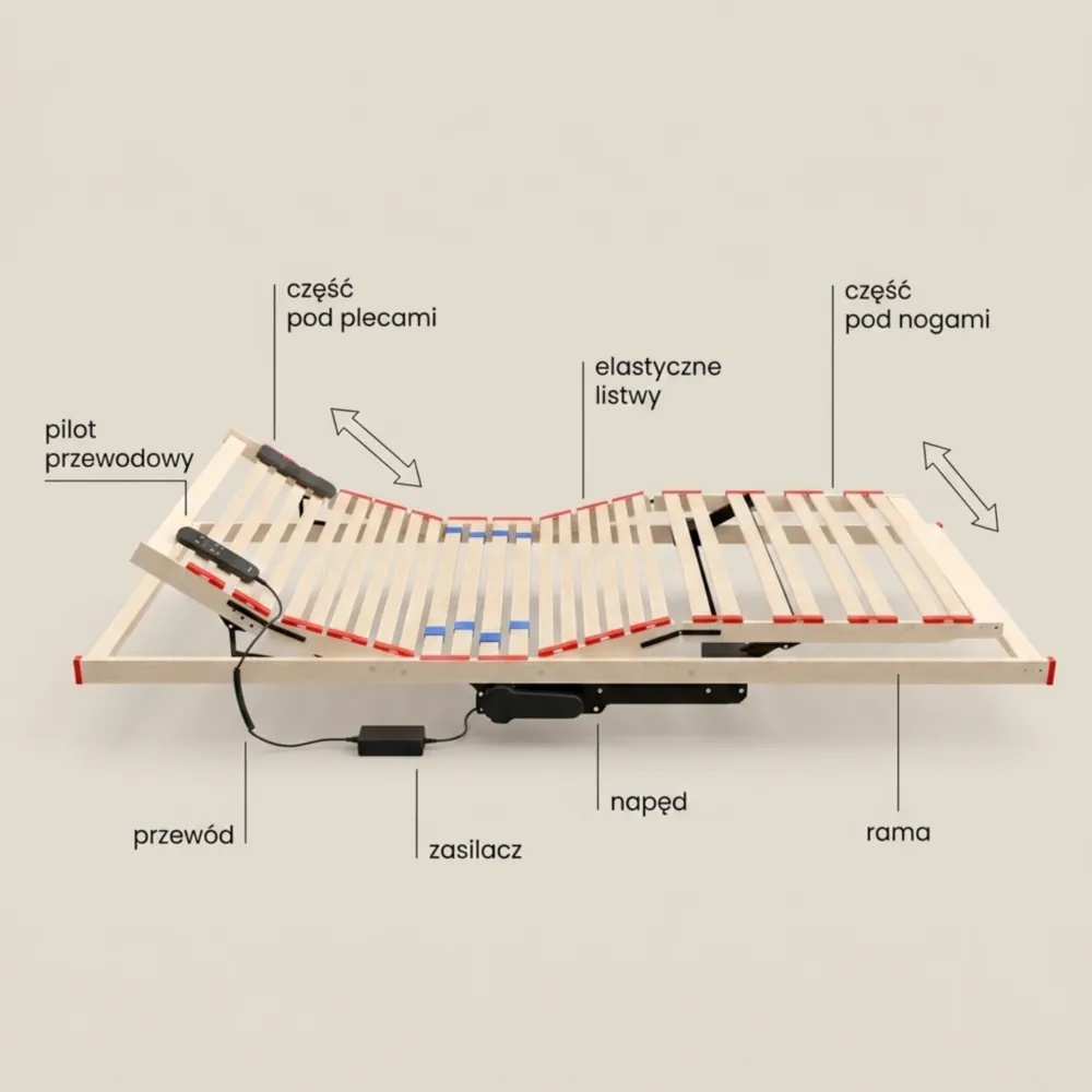Infografika przedstawiająca napęd, pilot i ruchome części stelaża elektrycznego